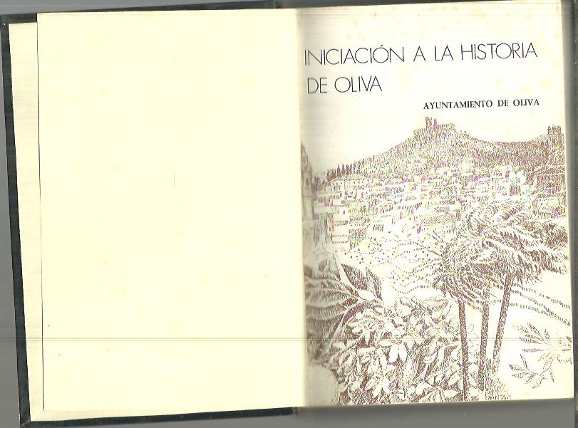 INICIACION A LA HISTORIA DE OLIVA.