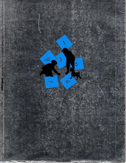 49123