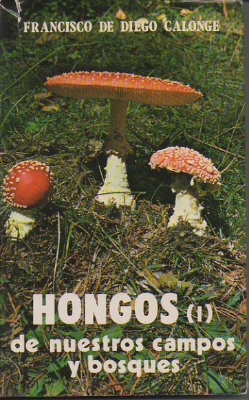 73503