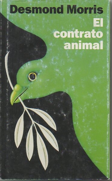 80887