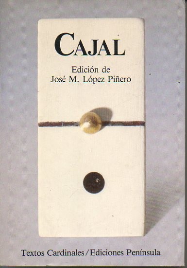 81502